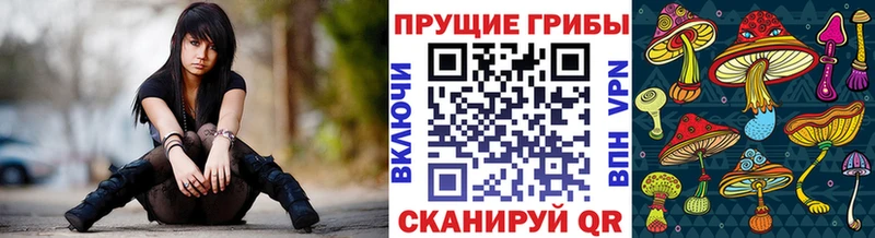 Галлюциногенные грибы Magic Shrooms  купить  цена  Новая Усмань 